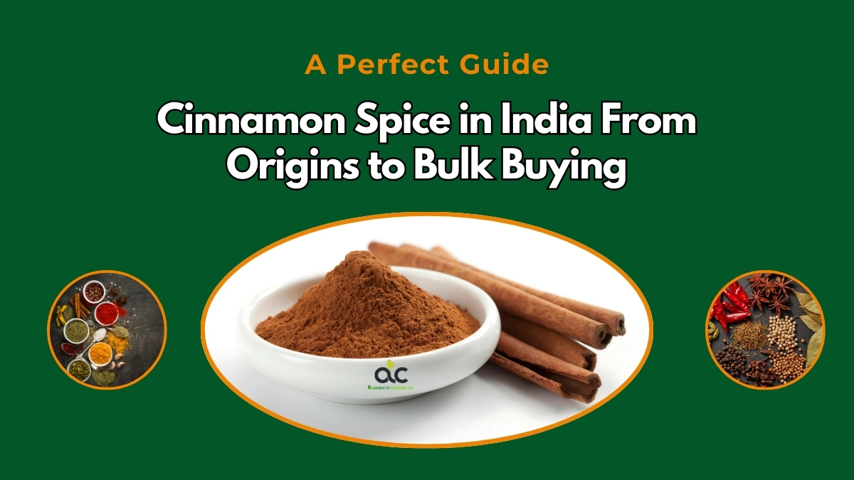 Cinnamon Spice in India from Origin to Bulk Buying: A Perfect Guide