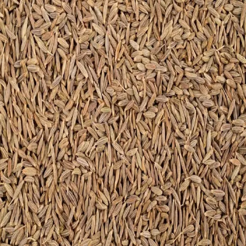 Cumin Seeds (Jeera)