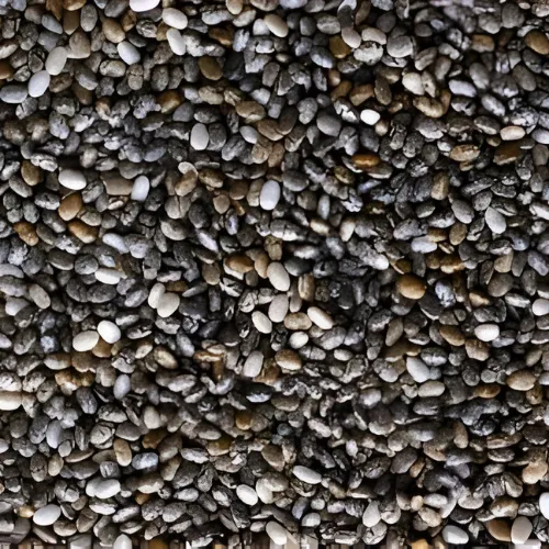 Chia Seeds