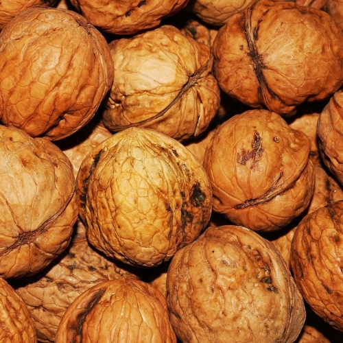 Walnuts (Akhrot)