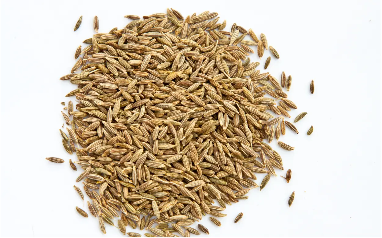 cumin-seeds