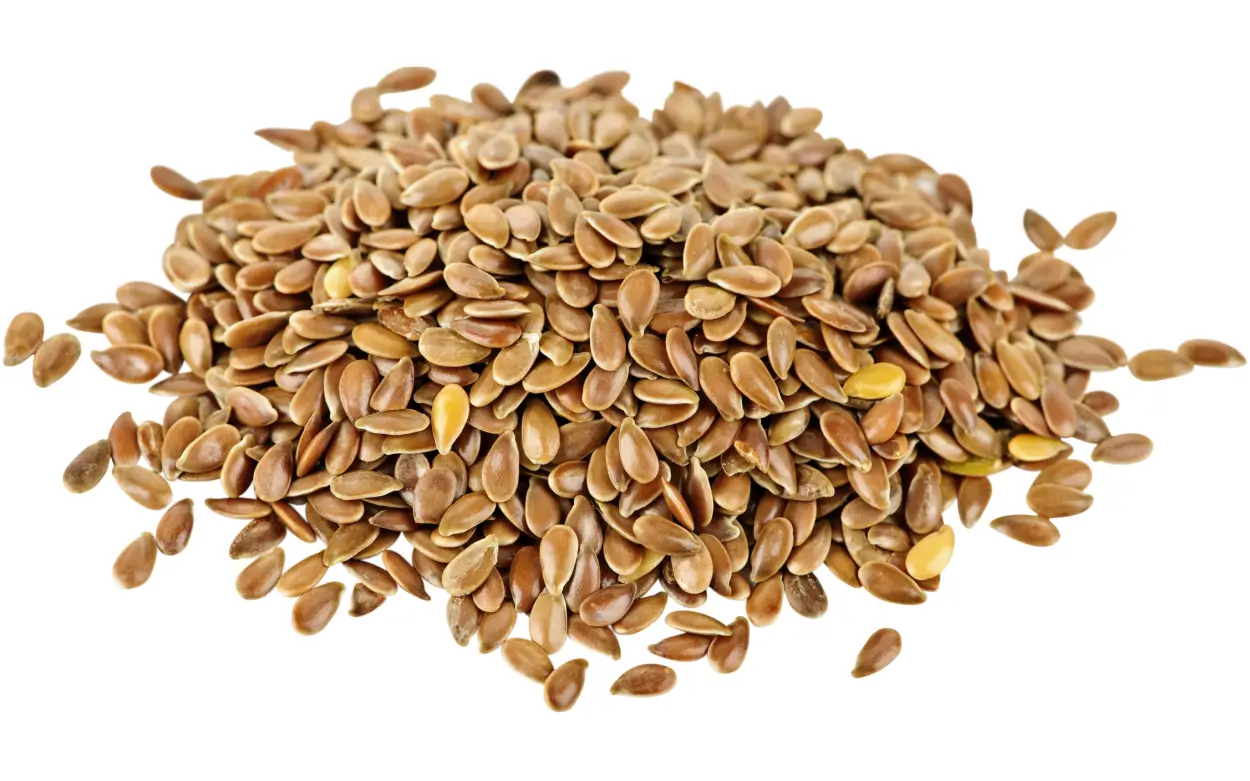 flax-seeds-alsi-wholesaler