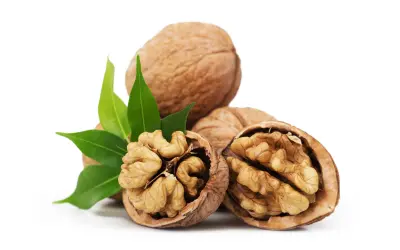 walnuts-akhrot wholesaler in india